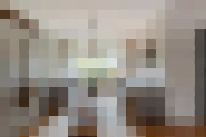 Rembrandtlaan 75 Papendrecht thumbnail 14