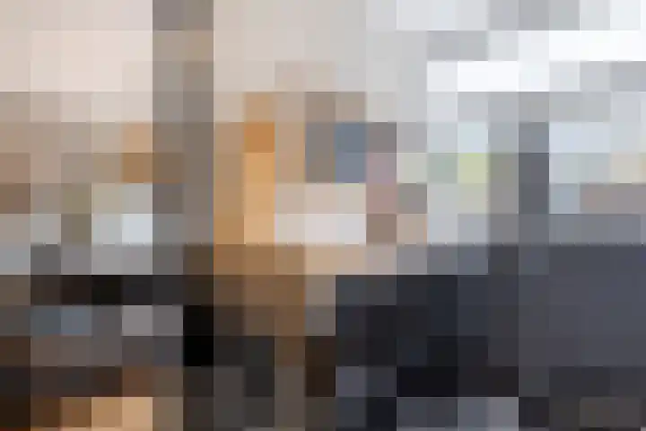 Rembrandtlaan 75 Papendrecht thumbnail 17
