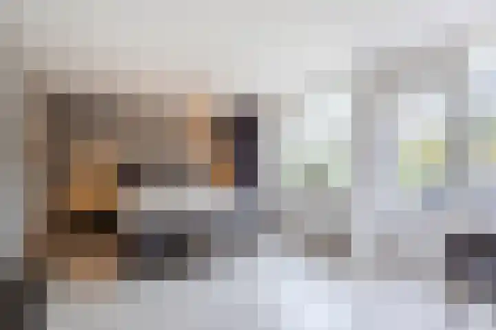 Rembrandtlaan 75 Papendrecht thumbnail 20