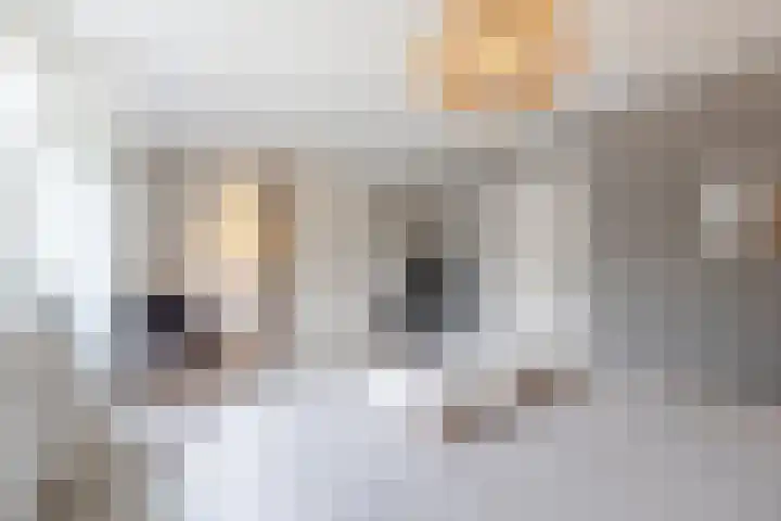 Rembrandtlaan 75 Papendrecht thumbnail 21