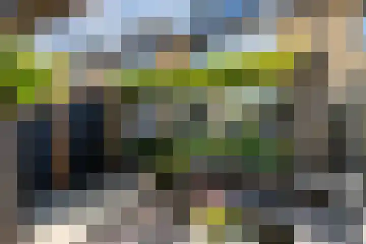 Rembrandtlaan 75 Papendrecht thumbnail 31