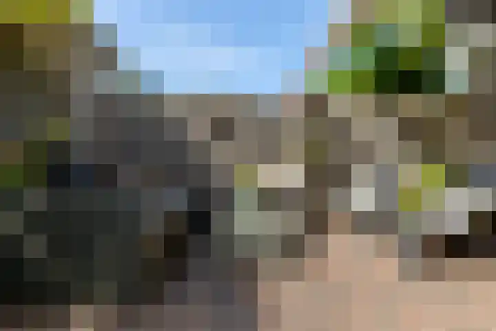 Rembrandtlaan 75 Papendrecht thumbnail 32
