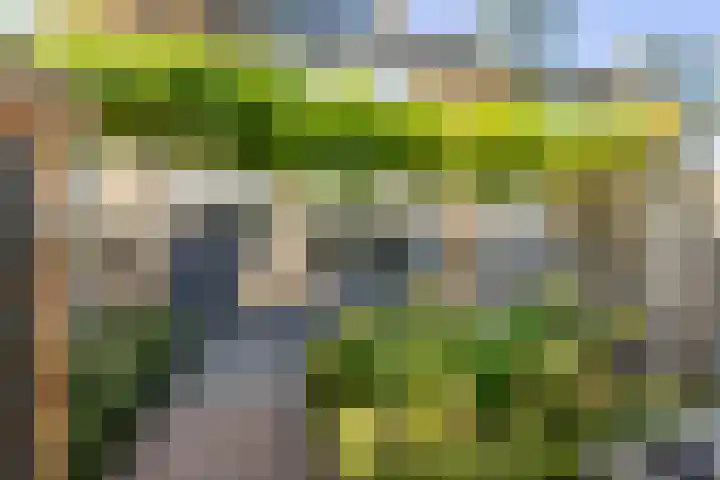 Rembrandtlaan 75 Papendrecht thumbnail 33