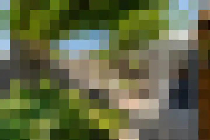 Rembrandtlaan 75 Papendrecht thumbnail 34