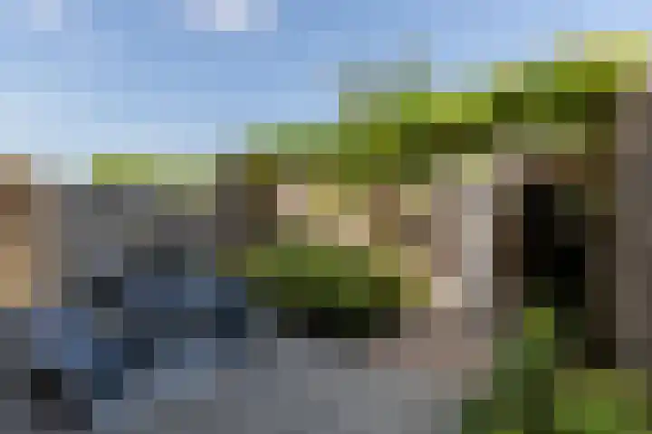 Rembrandtlaan 75 Papendrecht thumbnail 35