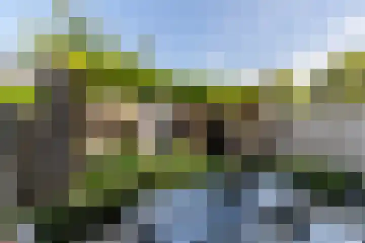 Rembrandtlaan 75 Papendrecht thumbnail 36