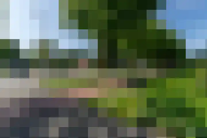 Rembrandtlaan 75 Papendrecht thumbnail 39