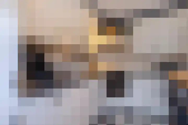 Rembrandtlaan 75 Papendrecht thumbnail 4