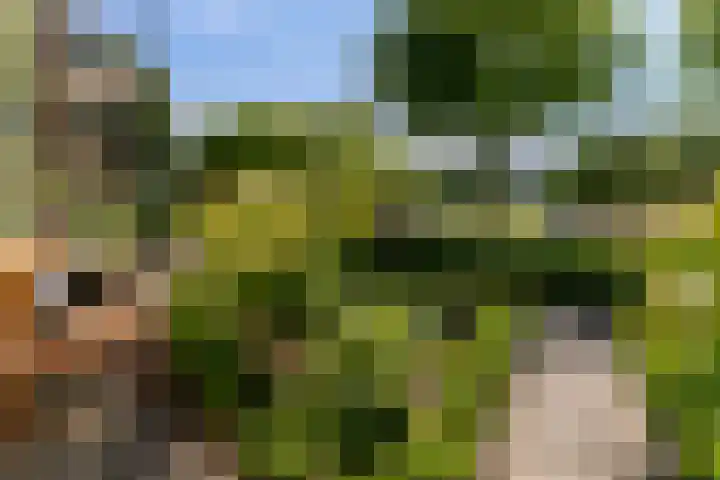 Rembrandtlaan 75 Papendrecht thumbnail 41
