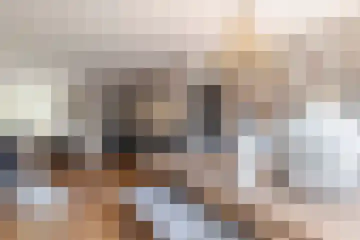 Rembrandtlaan 75 Papendrecht thumbnail 7