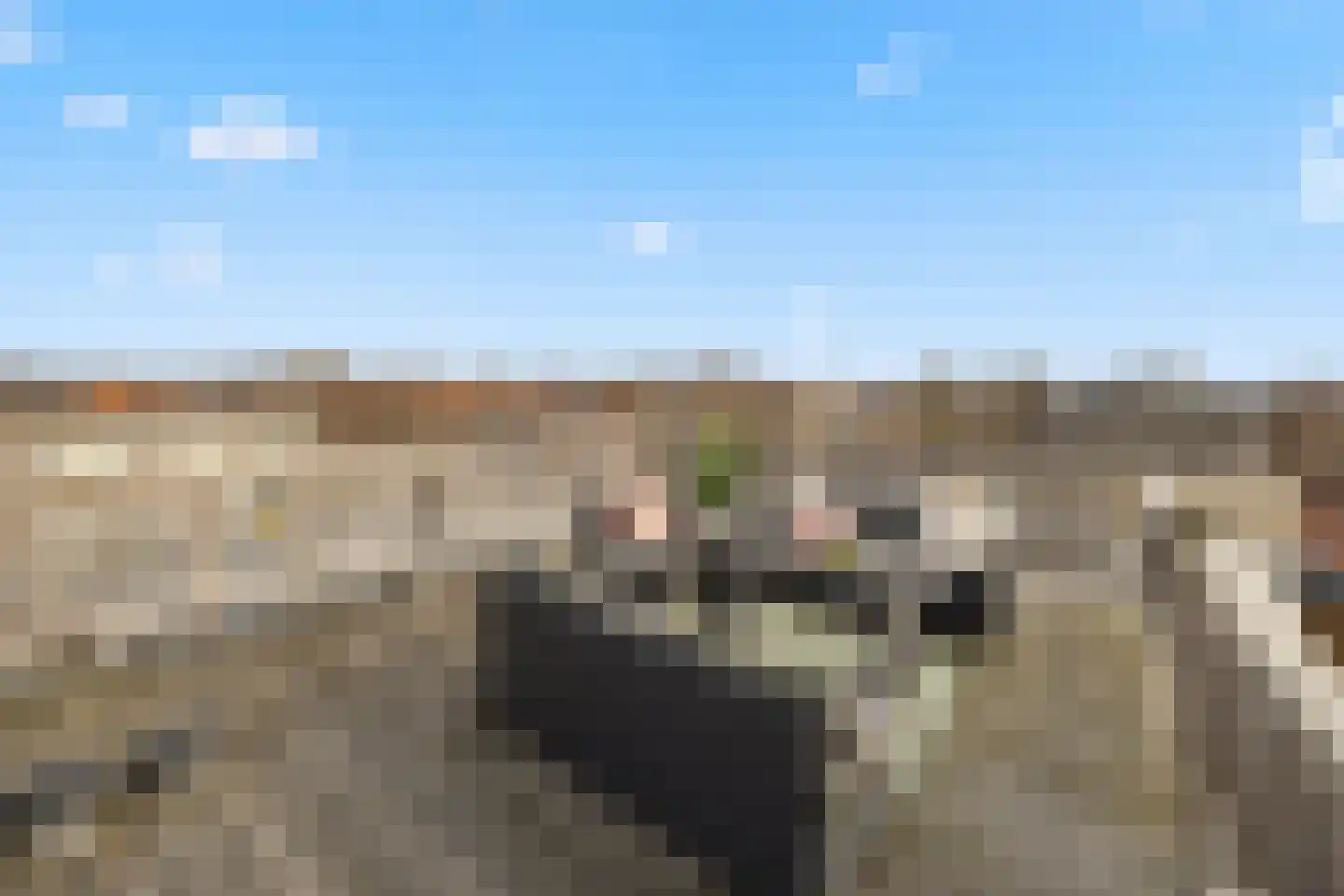 Rembrandtlaan 75 Voorburg thumbnail 29