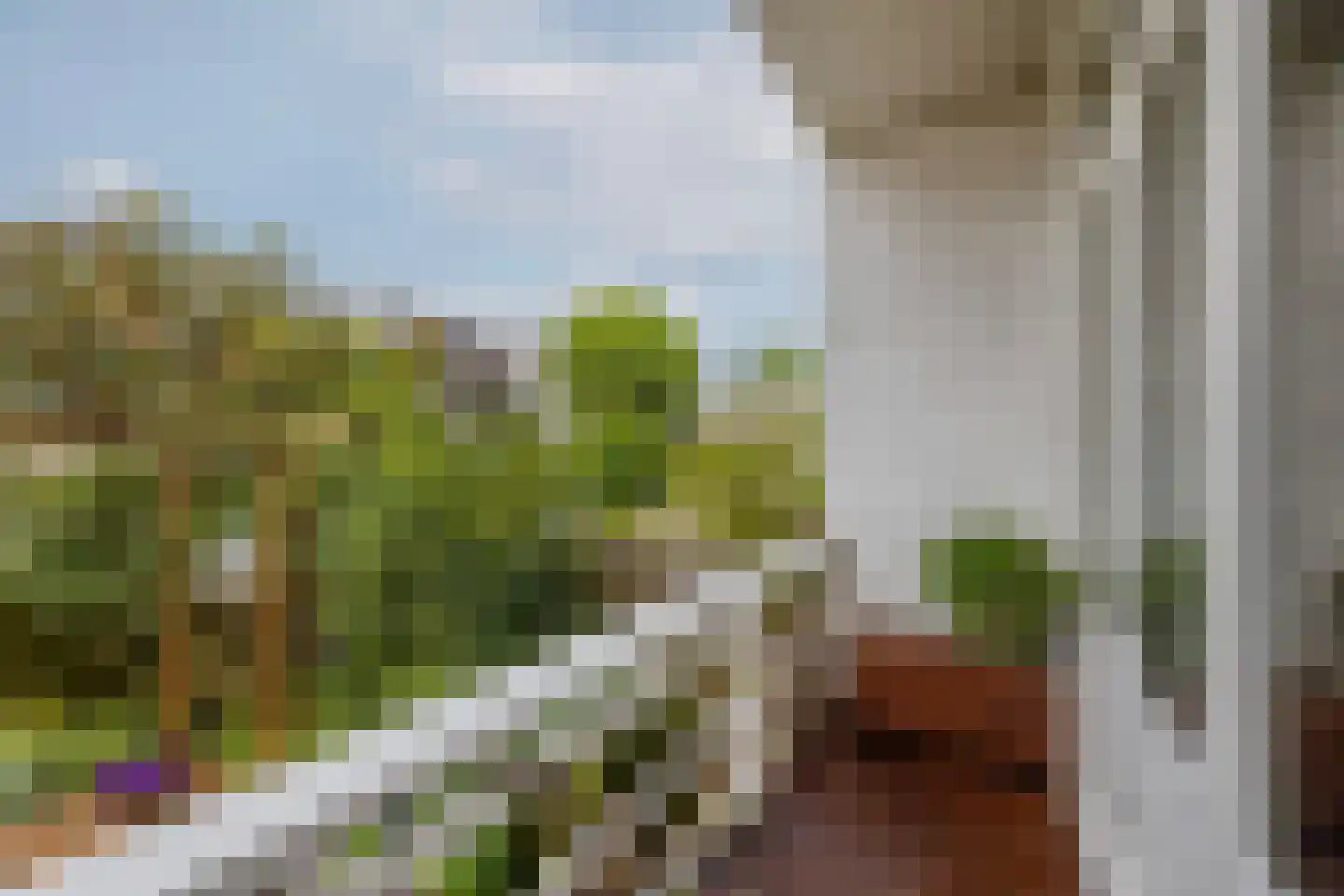 Rembrandtlaan 77 A Schiedam thumbnail 14
