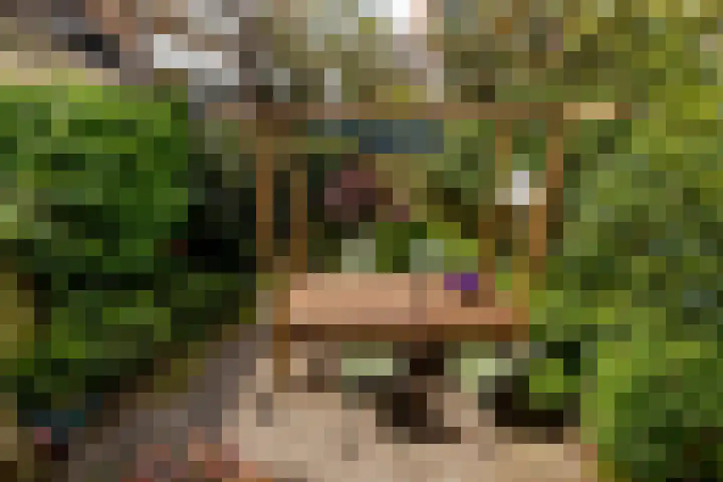 Rembrandtlaan 77 A Schiedam thumbnail 29