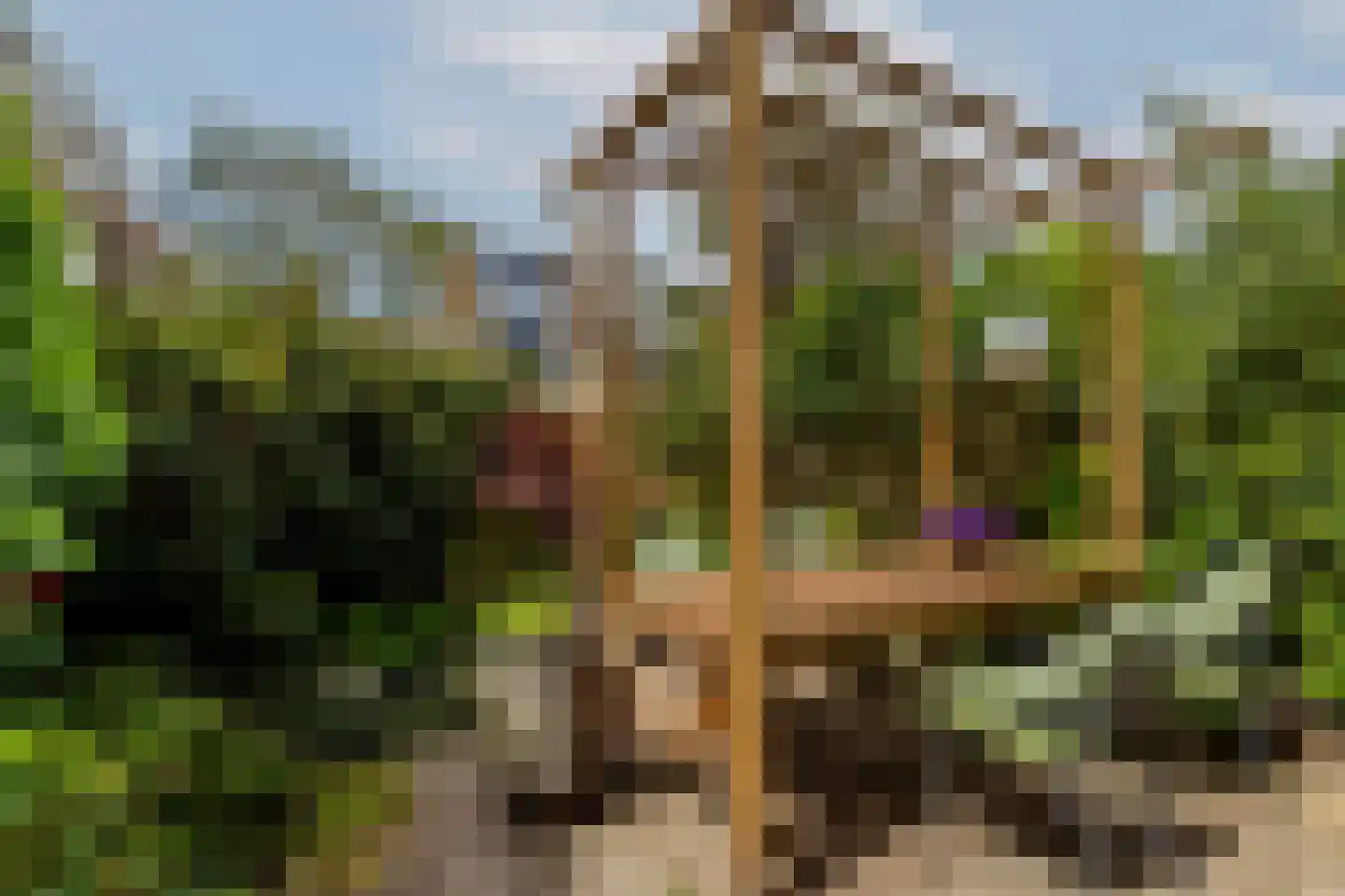 Rembrandtlaan 77 A Schiedam thumbnail 30