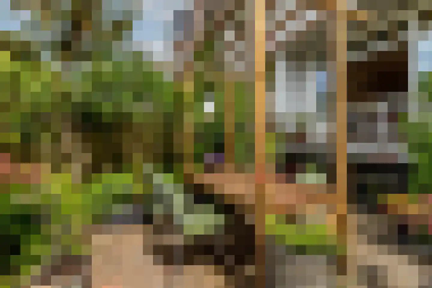 Rembrandtlaan 77 A Schiedam thumbnail 31