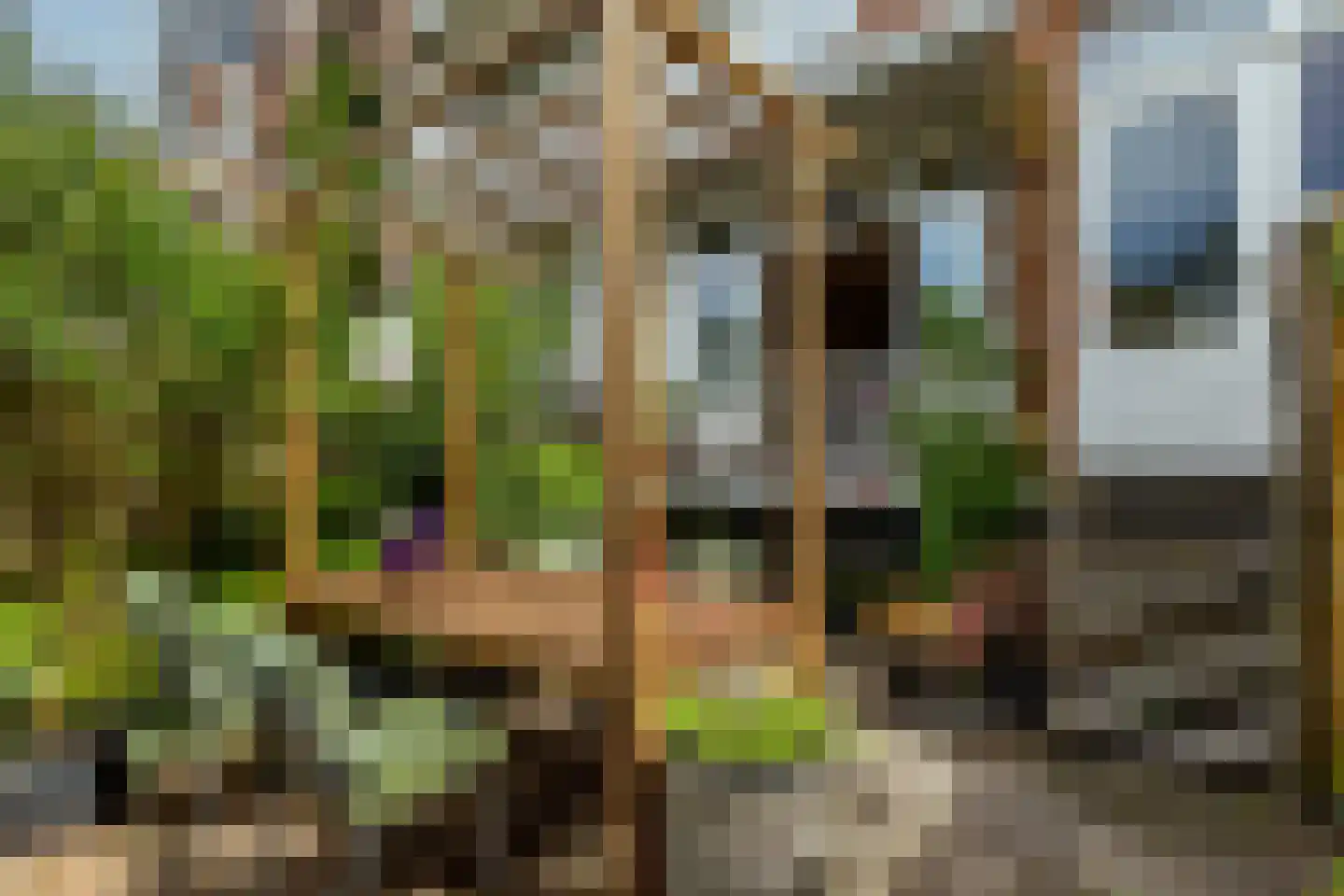 Rembrandtlaan 77 A Schiedam thumbnail 32