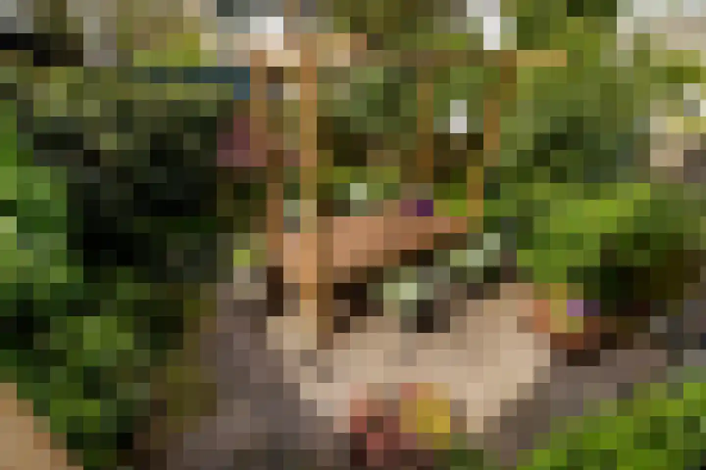 Rembrandtlaan 77 A Schiedam thumbnail 4