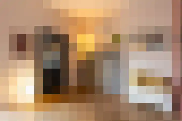 Rembrandtlaan 8 Hilversum thumbnail 18