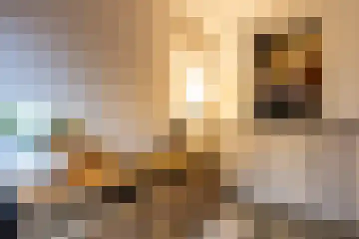 Rembrandtlaan 8 Hilversum thumbnail 21