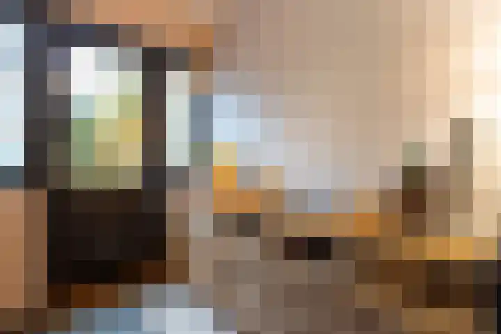Rembrandtlaan 8 Hilversum thumbnail 22
