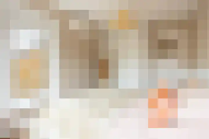 Rembrandtlaan 8 Hilversum thumbnail 27