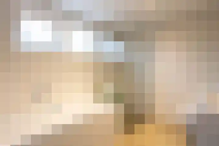 Rembrandtlaan 8 Hilversum thumbnail 29