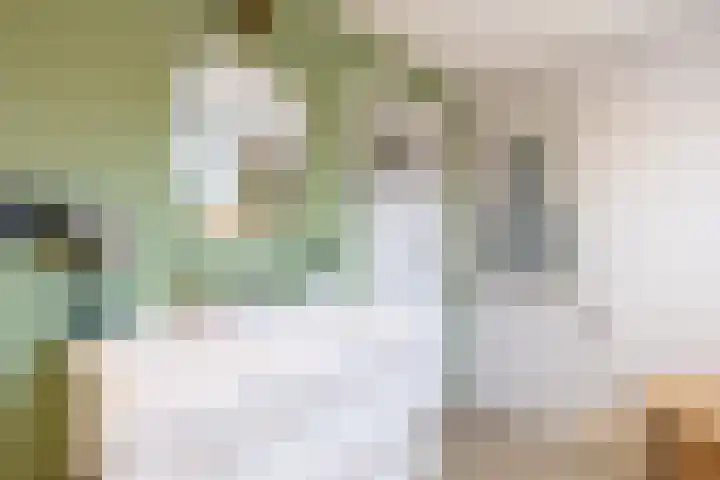 Rembrandtlaan 8 Hilversum thumbnail 31