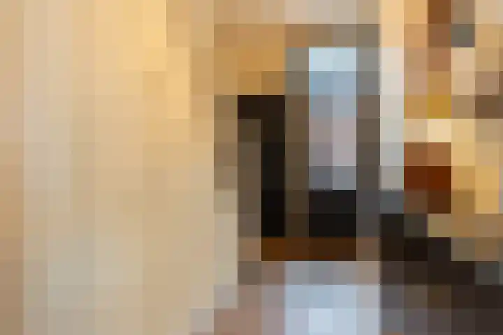 Rembrandtlaan 8 Hilversum thumbnail 8