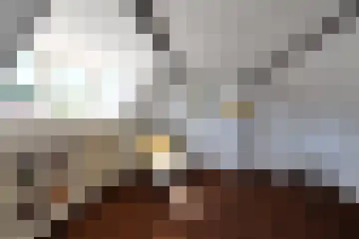 Rembrandtlaan 8 Loosdrecht thumbnail 16