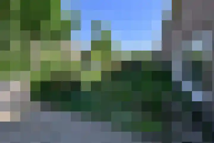 Rembrandtlaan 8 Loosdrecht thumbnail 19