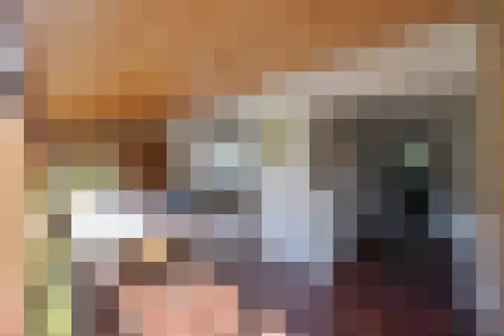 Rembrandtlaan 8 Loosdrecht thumbnail 8