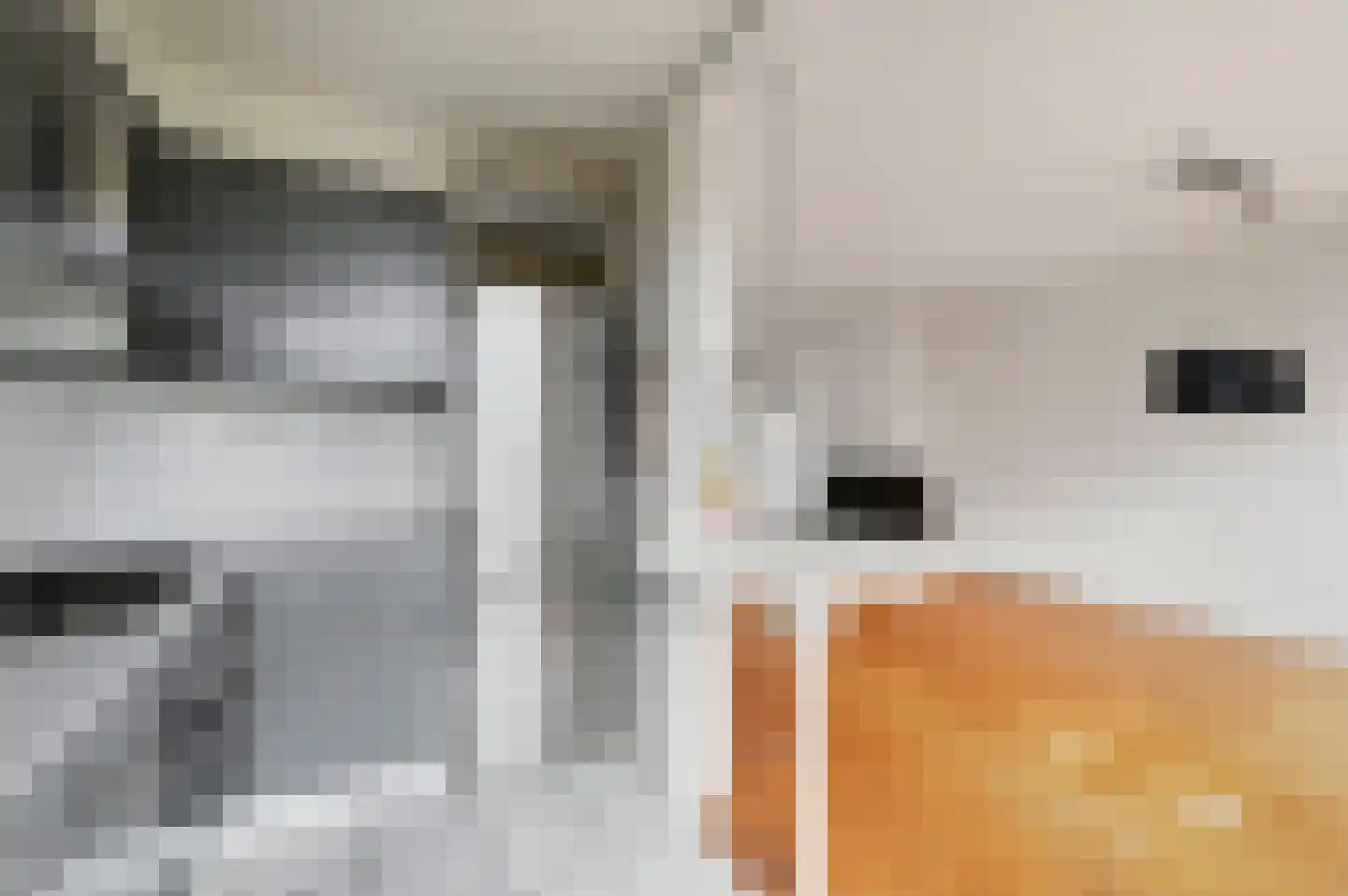 Rembrandtlaan 8 Voorschoten thumbnail 11