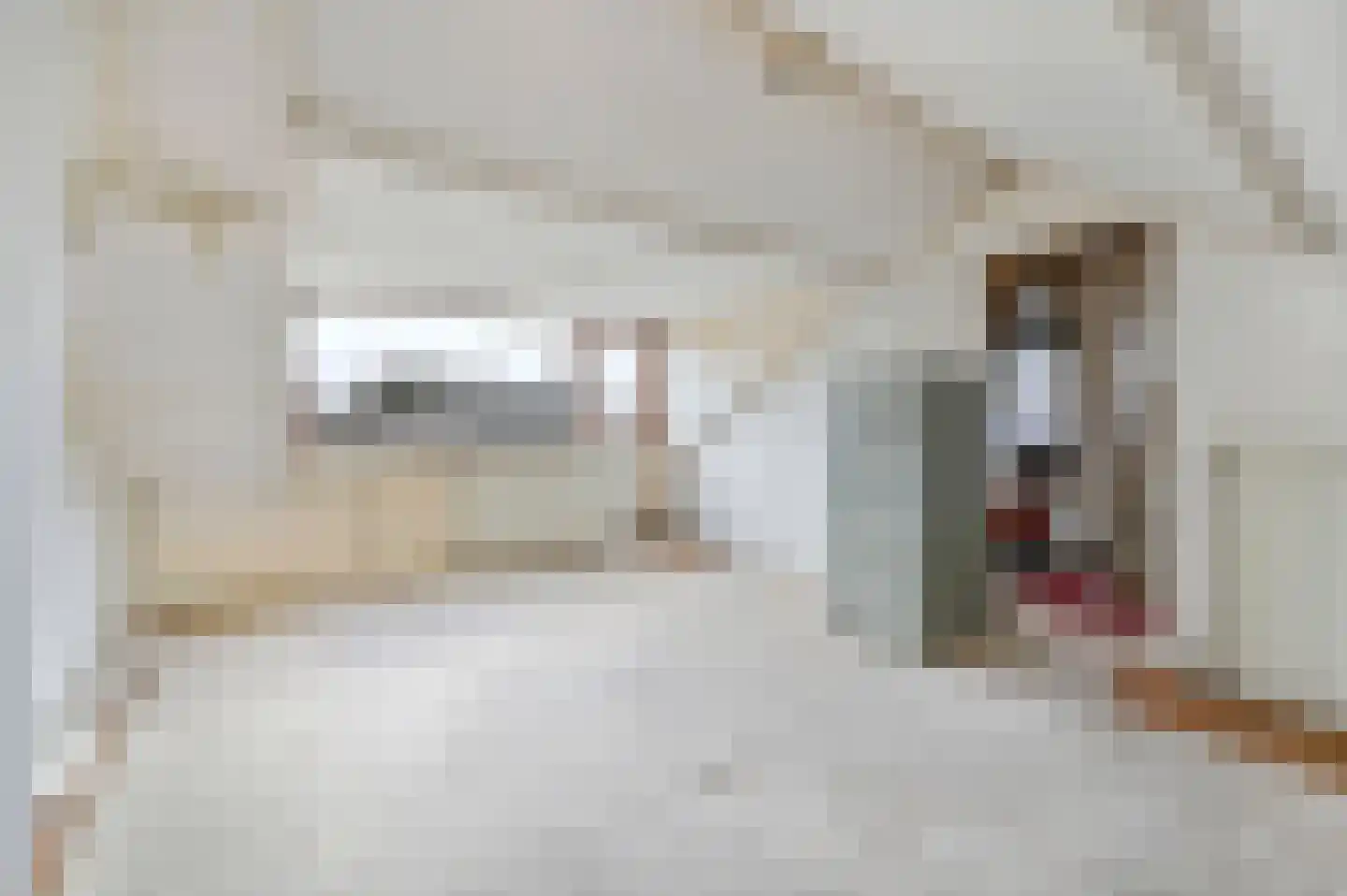 Rembrandtlaan 8 Voorschoten thumbnail 23