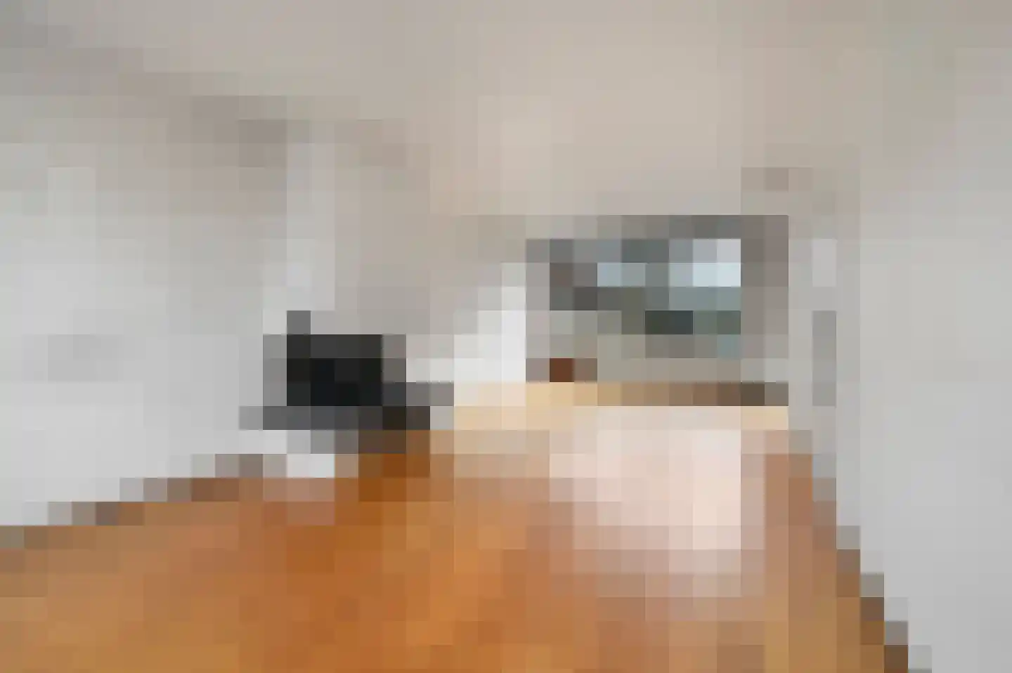 Rembrandtlaan 8 Voorschoten thumbnail 7