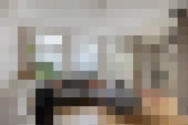 Rembrandtlaan 80 B Schiedam thumbnail 10