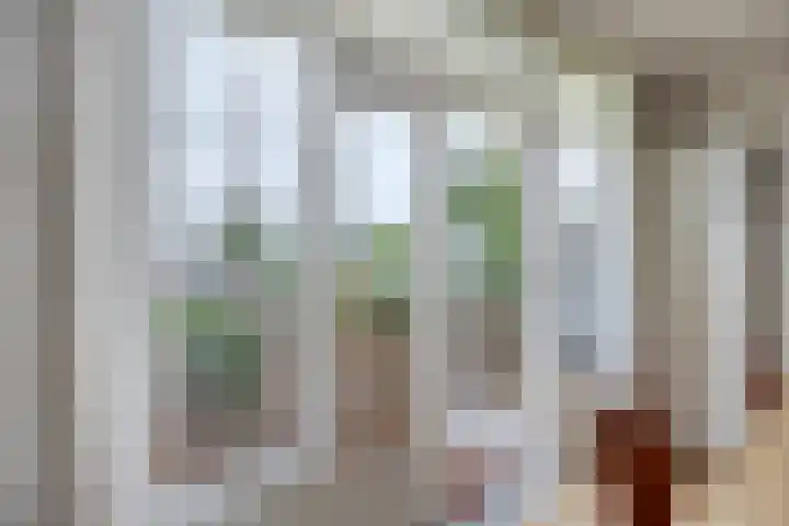 Rembrandtlaan 80 B Schiedam thumbnail 17