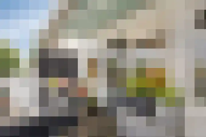Rembrandtlaan 80 B Schiedam thumbnail 33