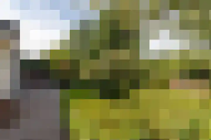 Rembrandtlaan 80 Vleuten thumbnail 25