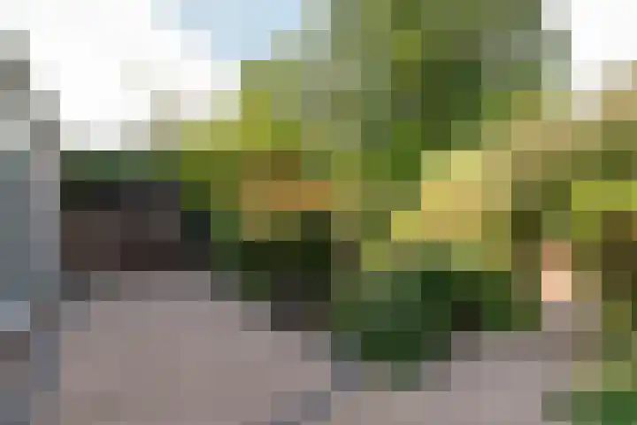 Rembrandtlaan 80 Vleuten thumbnail 26