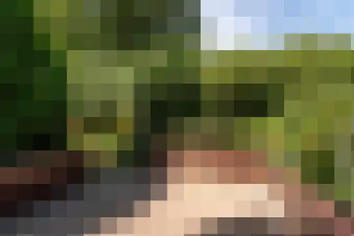 Rembrandtlaan 80 Vleuten thumbnail 27