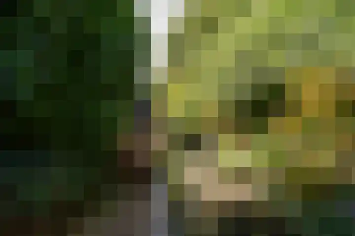 Rembrandtlaan 80 Vleuten thumbnail 28