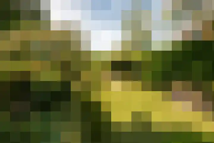 Rembrandtlaan 80 Vleuten thumbnail 29