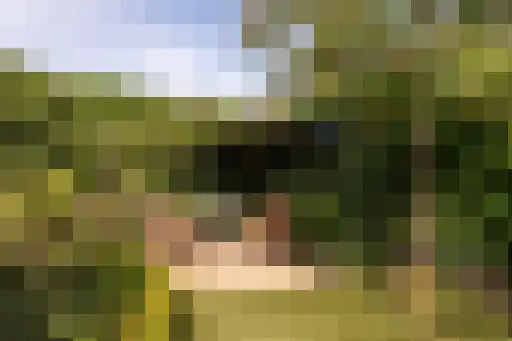 Rembrandtlaan 80 Vleuten thumbnail 30