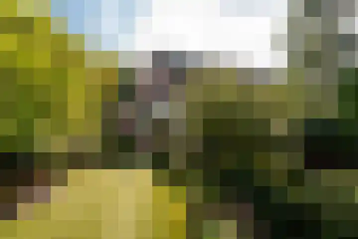 Rembrandtlaan 80 Vleuten thumbnail 31