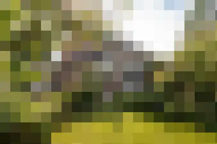 Rembrandtlaan 80 Vleuten thumbnail 32
