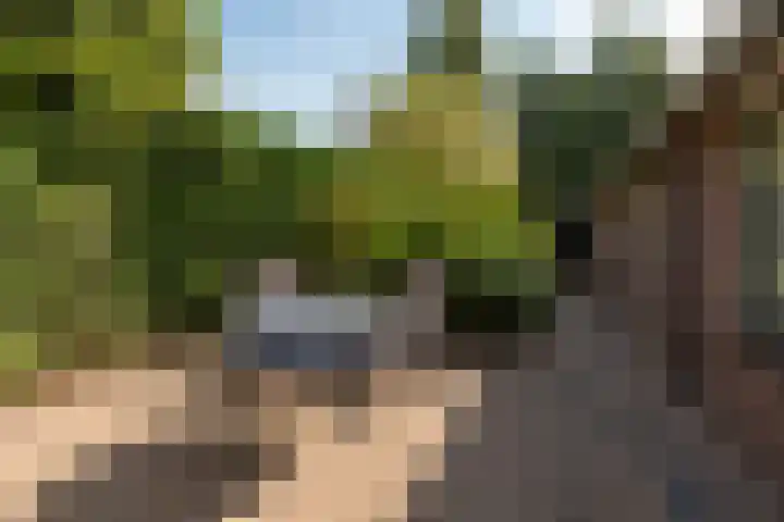 Rembrandtlaan 80 Vleuten thumbnail 33