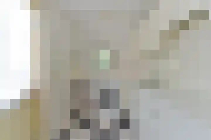 Rembrandtlaan 80 Vleuten thumbnail 35