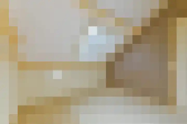 Rembrandtlaan 80 Vleuten thumbnail 50