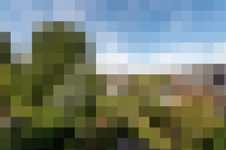 Rembrandtlaan 80 Vleuten thumbnail 55