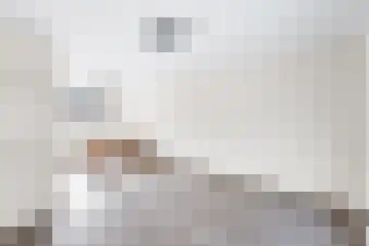 Rembrandtlaan 80 Vlissingen thumbnail 13